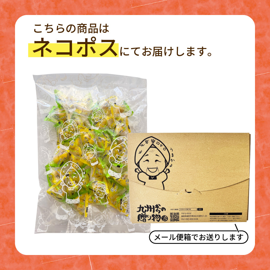 揚げぎんなん 約100g 塩味(約30袋前後)