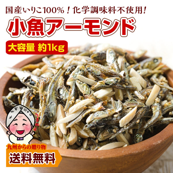 【選べる2サイズ】国産いりこ100%使用! 小魚アーモンド