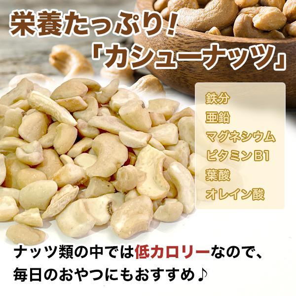 【選べる2サイズ】小袋おつまみ カレーカシューナッツ