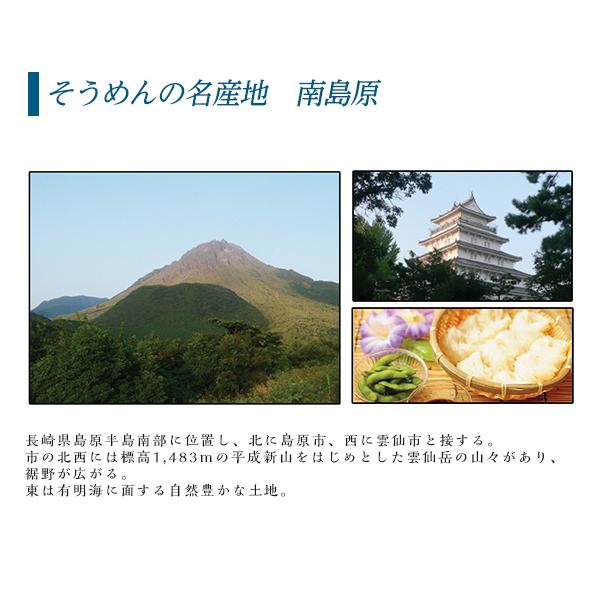 長崎 島原伝統 手延べ素麺 10束(5束×2袋)