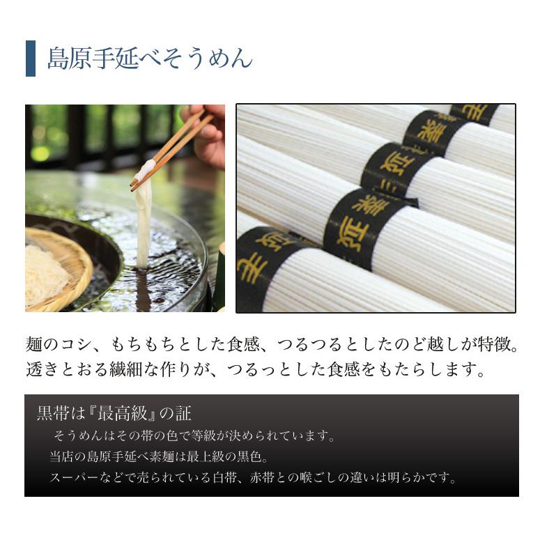 長崎 島原伝統 手延べ素麺 10束(5束×2袋)