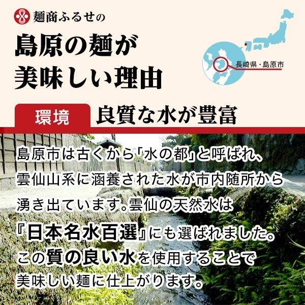 長崎 島原伝統 手延べ素麺 10束(5束×2袋)