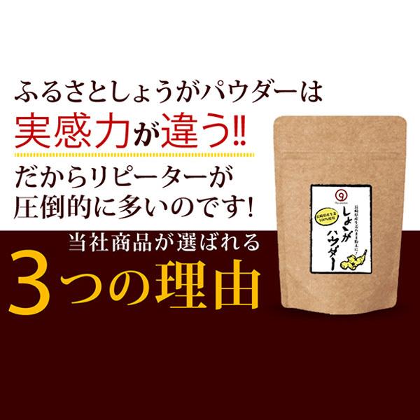 長崎県産 しょうがパウダー60g×4袋 国産 純度100%
