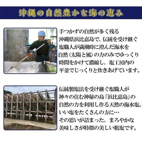 神々の住む島の恵み 高江洲製塩所 の浜比嘉 塩 100g×4袋