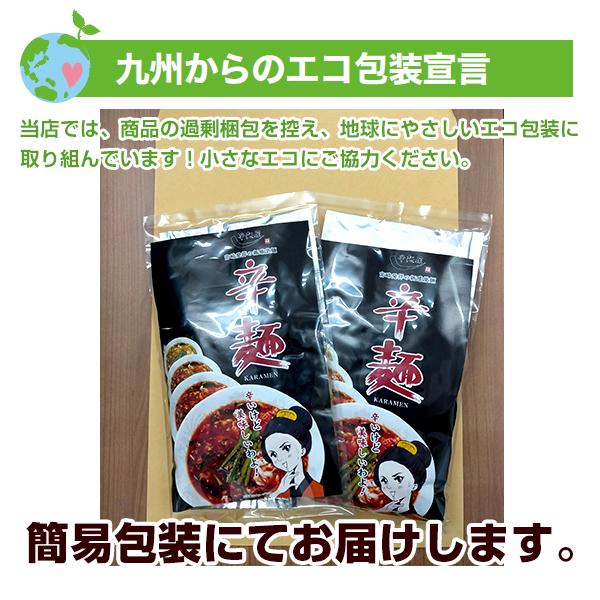 宮崎新名物 辛麺屋 輪 辛麺 2人前