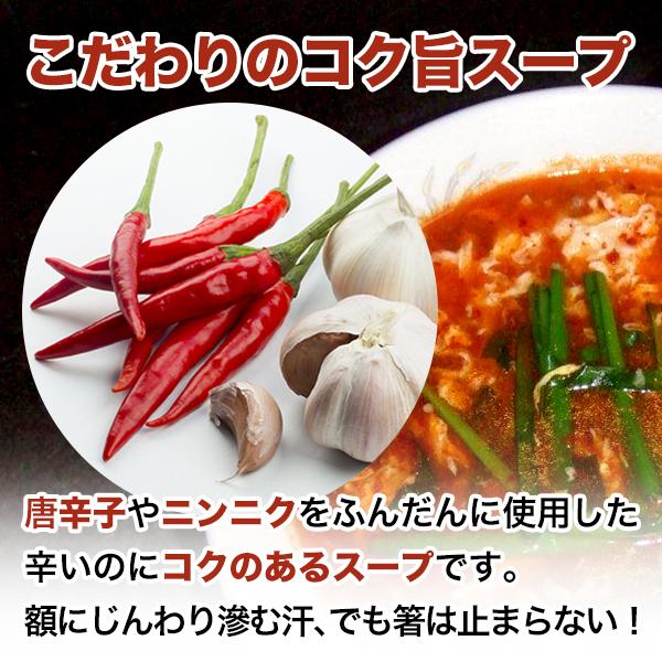 宮崎新名物 辛麺屋 輪 辛麺 2人前
