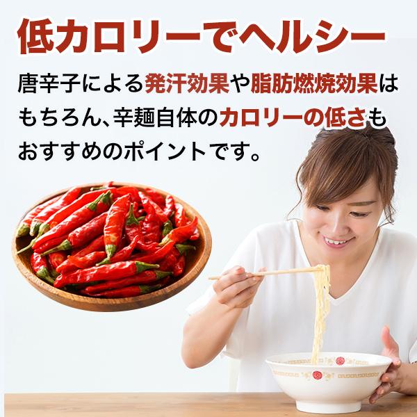 宮崎新名物 辛麺屋 輪 辛麺 2人前