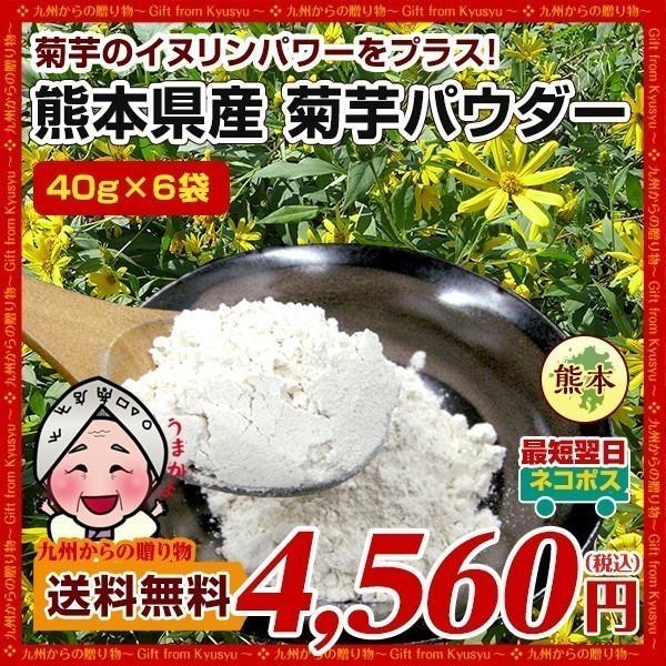 菊芋パウダー 熊本県産 菊芋使用 40g×6袋