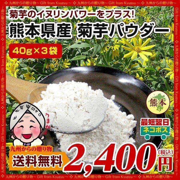 菊芋パウダー 熊本県産菊芋使用 40g×3袋