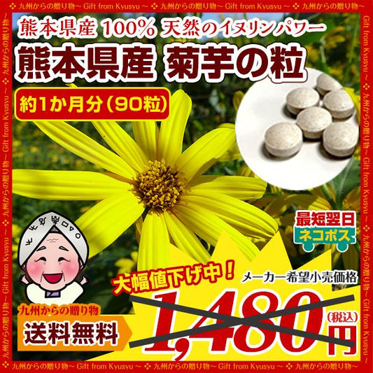 菊芋 熊本県産菊芋使用 菊芋の粒(90粒×1袋)約1ヶ月分 いまテレビで話題 イヌリンパワー