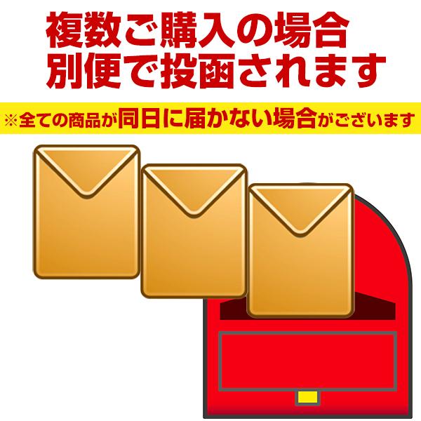 元祖 おかずしょうが(100g) ×4袋 しょうゆ漬 漬物 しょうが 生姜 食品 お取り寄せ ご飯のお供 漬物 つけもの 送料無料