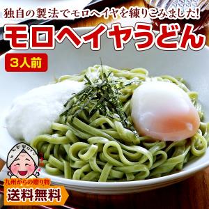 送料無料 モチモチ モロヘイヤうどん3人前 福岡 老舗製麺所