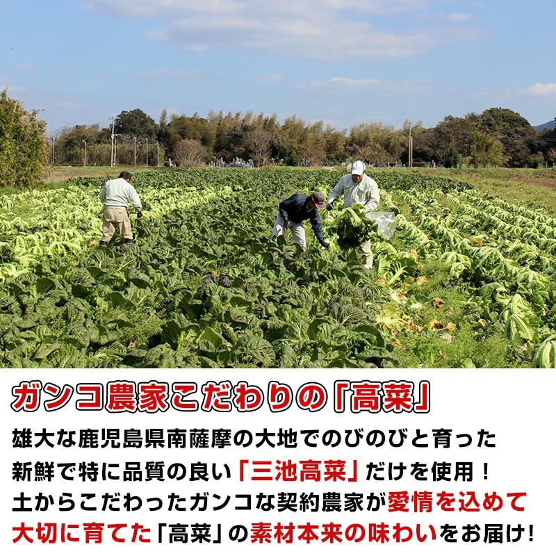 鹿児島県産 たかな漬 160×3袋