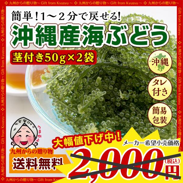 産地直送 沖縄県産 海ぶどう(茎付き) 50g×2袋 塩水漬け