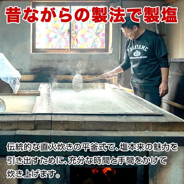 長崎 五島列島の恵 矢堅目の塩 50g2袋 藻塩50g1袋
