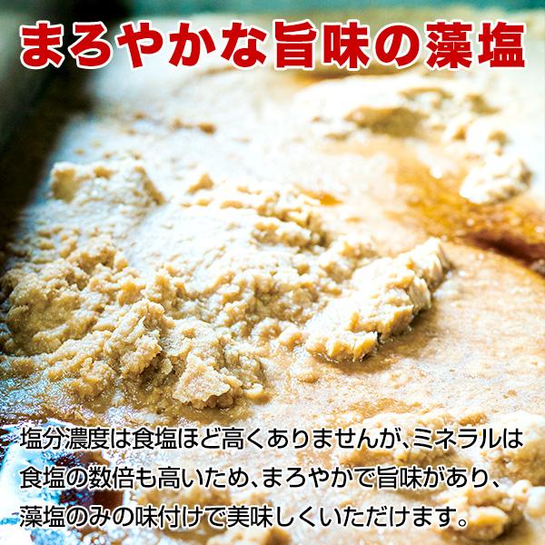 長崎 五島列島の恵 矢堅目の塩 50g2袋 藻塩50g1袋