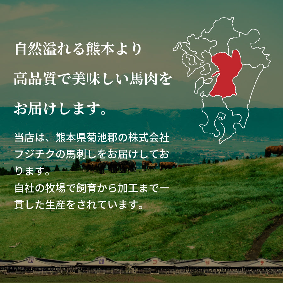 馬刺し 国産 上赤身 約200g 熊本名物 タレ付 赤身 タンパク質 低脂肪 父の日 母の日 柔らかい お試し ばさし ポイント利用 爆買 ポイント消化