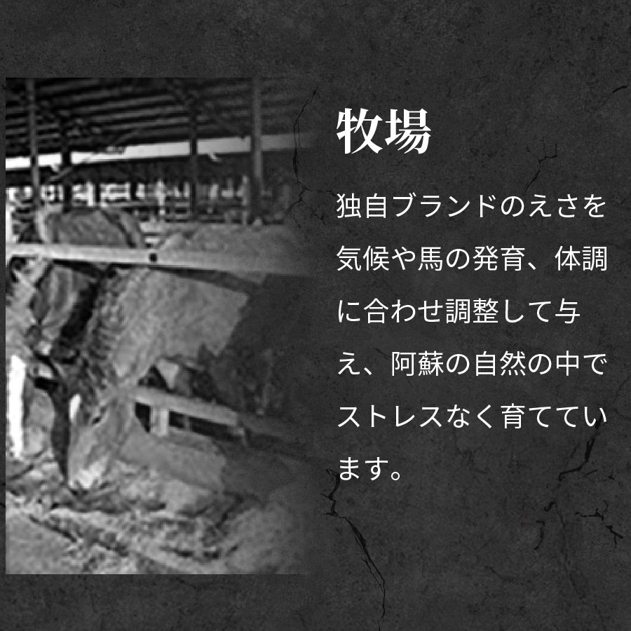 馬刺し 国産 上赤身 約200g 熊本名物 タレ付 赤身 タンパク質 低脂肪 父の日 母の日 柔らかい お試し ばさし ポイント利用 爆買 ポイント消化