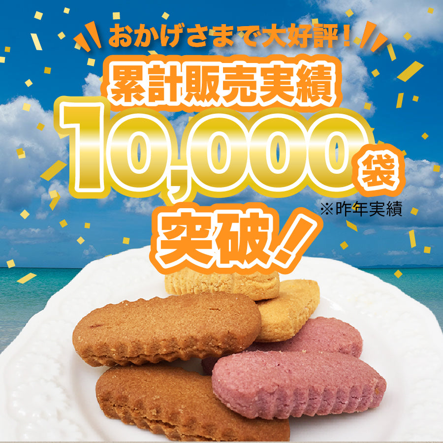 訳あり 沖縄 バラエティちんすこう 8袋（16個） 今だけ2袋おまけ付き (計10袋/20個)