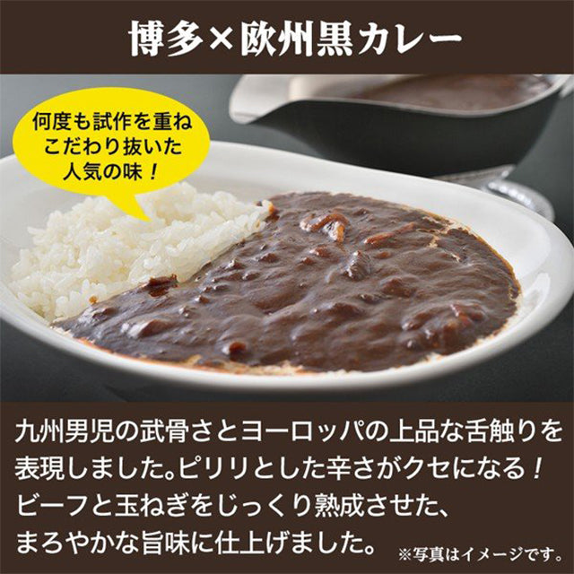 博多 欧風黒カレー 4食セット