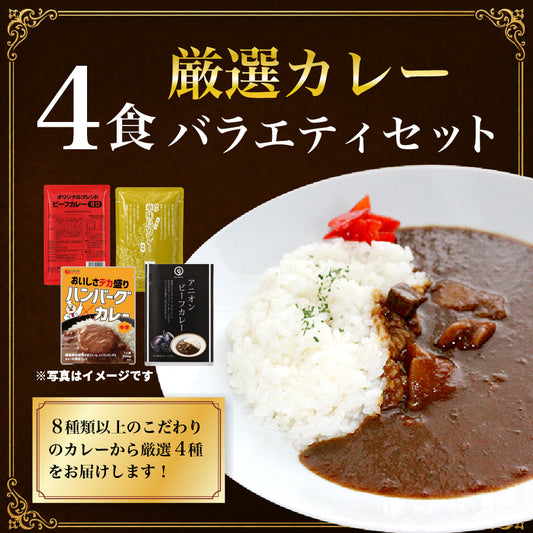 当店チョイス 厳選4食カレー バラエティセット