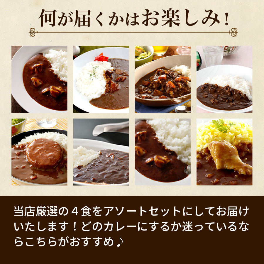 当店チョイス 厳選4食カレー バラエティセット