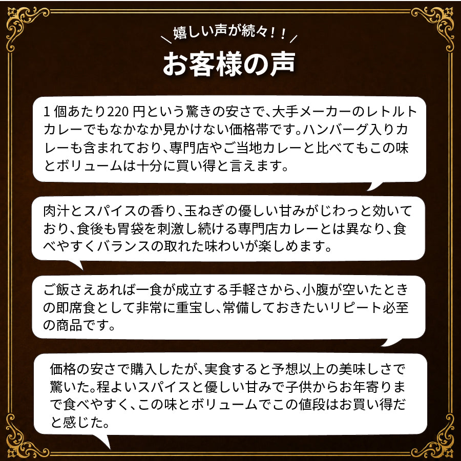 当店チョイス 厳選4食カレー バラエティセット