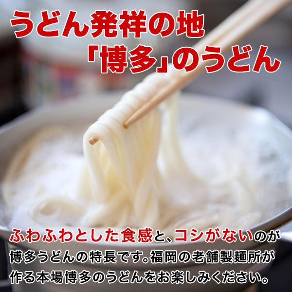 送料無料 博多 あご出汁 博多んもん柔らか生うどん 5人前 乾燥ねぎ付き 半生麺 博多うどん うどん