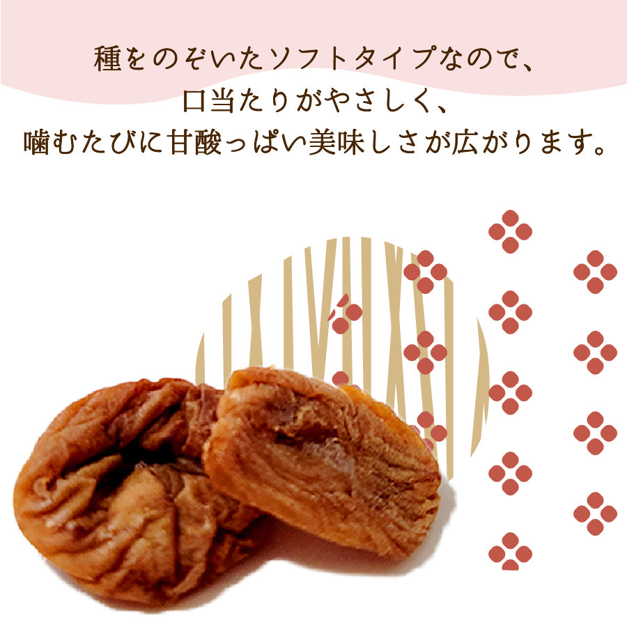 小袋おつまみ 種なし 干し梅