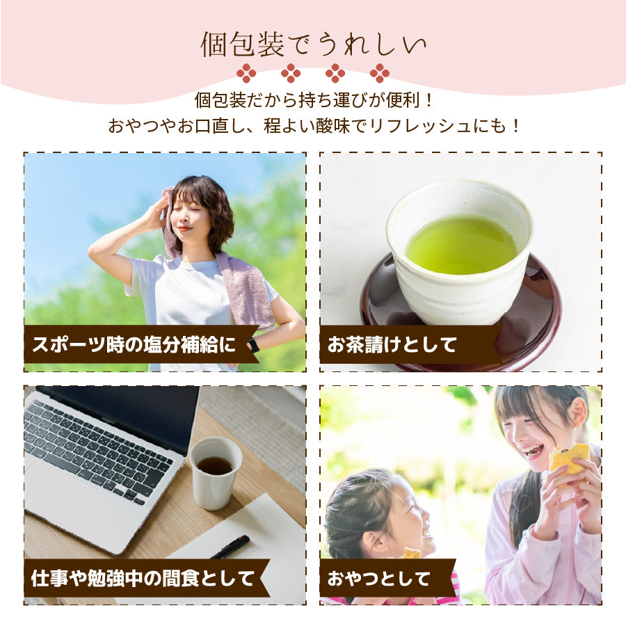 小袋おつまみ 種なし 干し梅