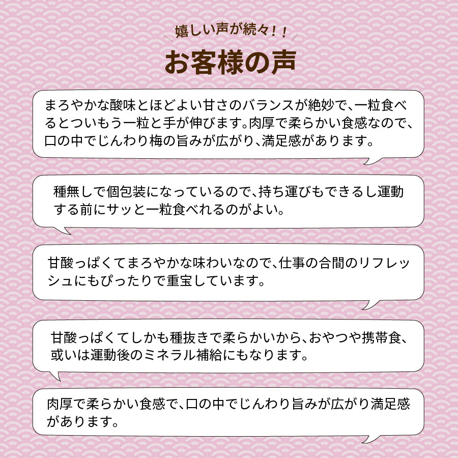 小袋おつまみ 種なし 干し梅