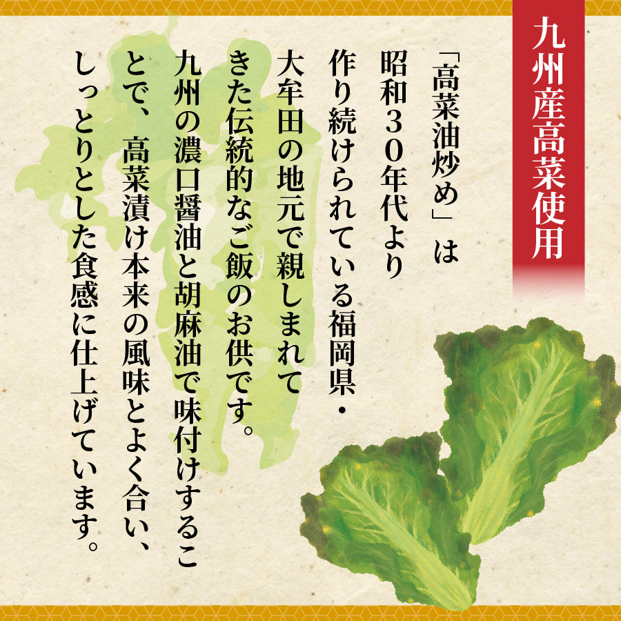 漬物　九州濃口醬油仕立て 高菜油炒め ×4袋 お試し 九州醤油 からしたかな ご飯のお供