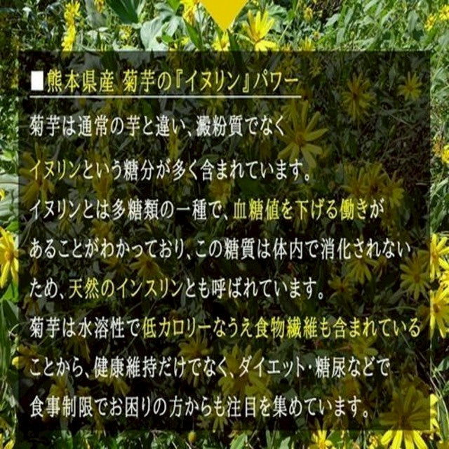『九州産 菊芋とごぼうの混合茶』ティーバッグ （3ｇ×10包） お茶 お試し