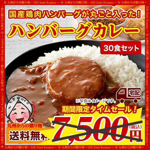 国産鶏ハンバーグカレー 30袋 中辛