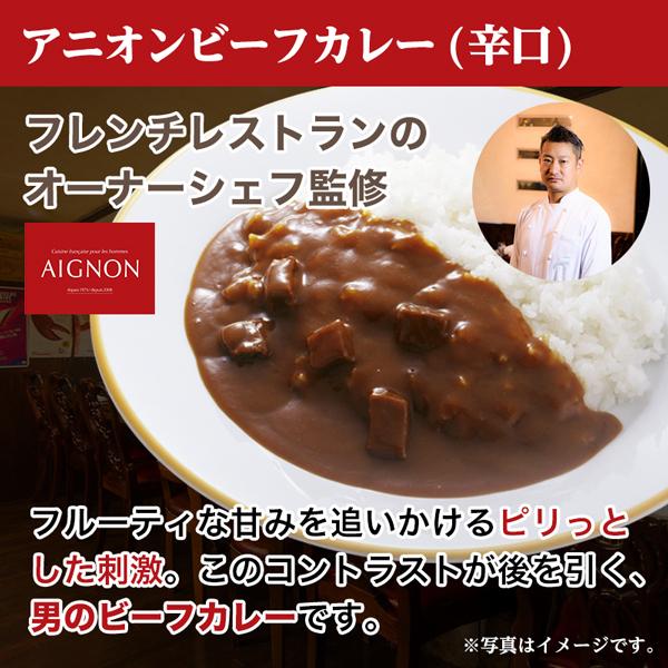 当店チョイス 厳選カレー 計25食 バラエティセット