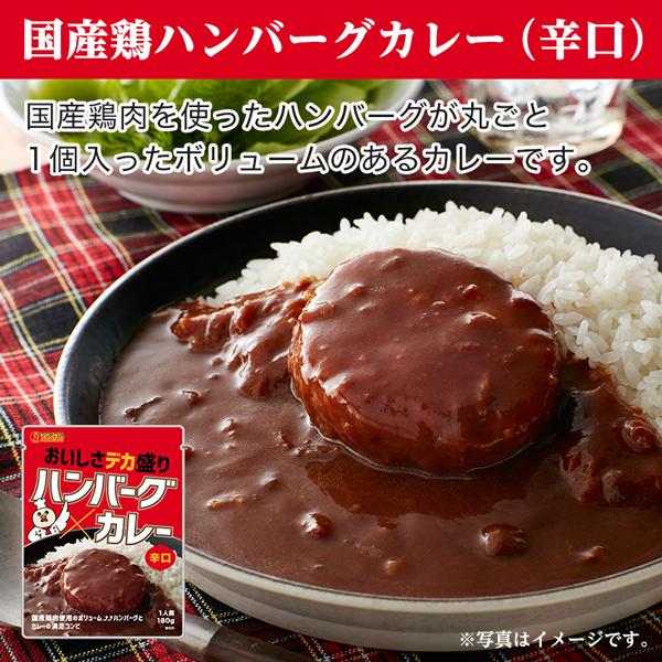 当店チョイス 厳選カレー 計25食 バラエティセット