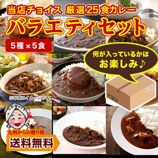 当店チョイス 厳選カレー 計25食 バラエティセット