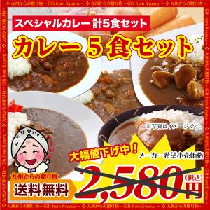 当店で今人気のスペシャルカレー5食セット