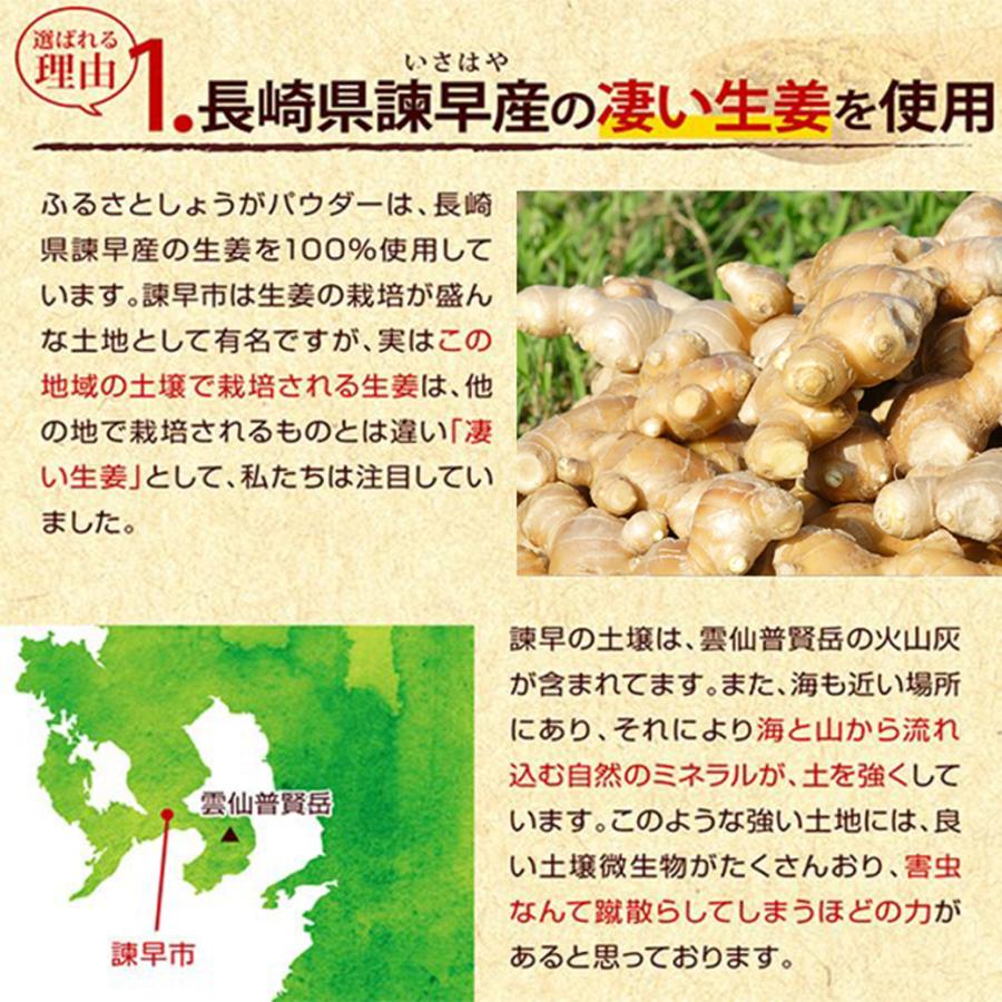 長崎県産 しょうが パウダー 60g×2袋 純度 国産100%