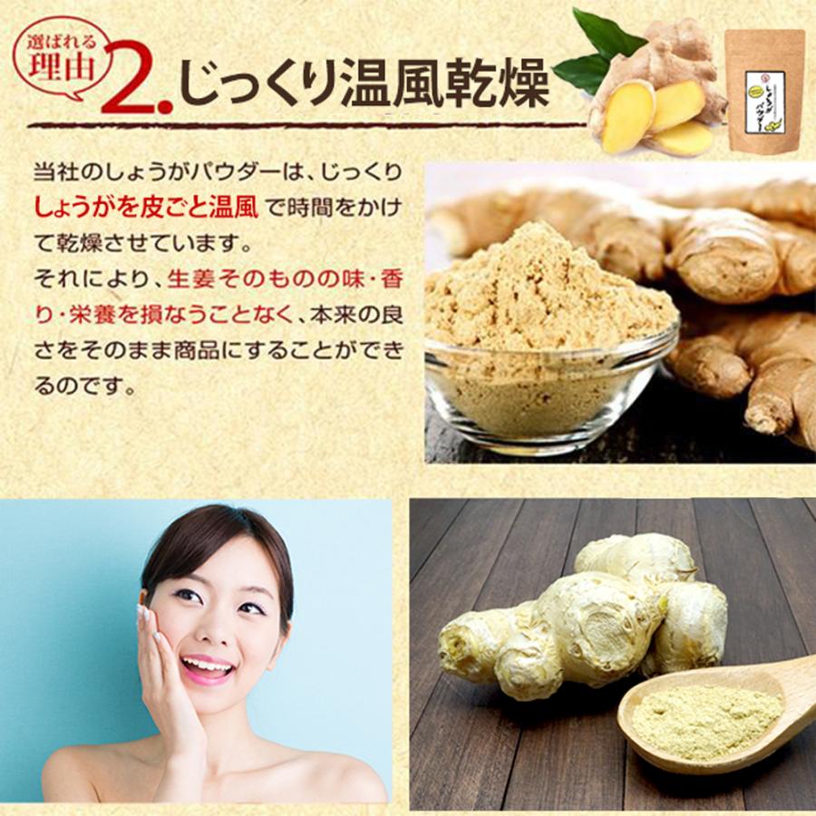 長崎県産 しょうが パウダー 60g×2袋 純度 国産100%