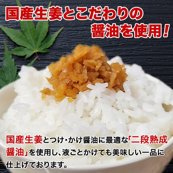 国産生姜使用! しょうがフレーク(100g) ×4袋