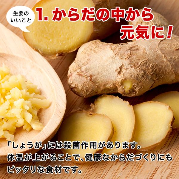 国産生姜使用! しょうがフレーク(100g) ×4袋