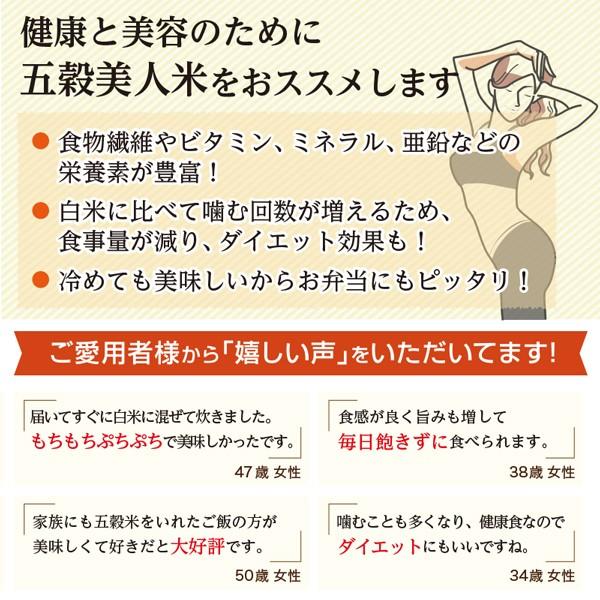 雑穀米 送料無料 九州 熊本県産100% 五穀米420g×1袋 雑穀 お米 お取り寄せ 米 エコ包装 地産地消 ポイント消化 1000円 雑穀米 五穀米 健康 熊本 ご飯 お米