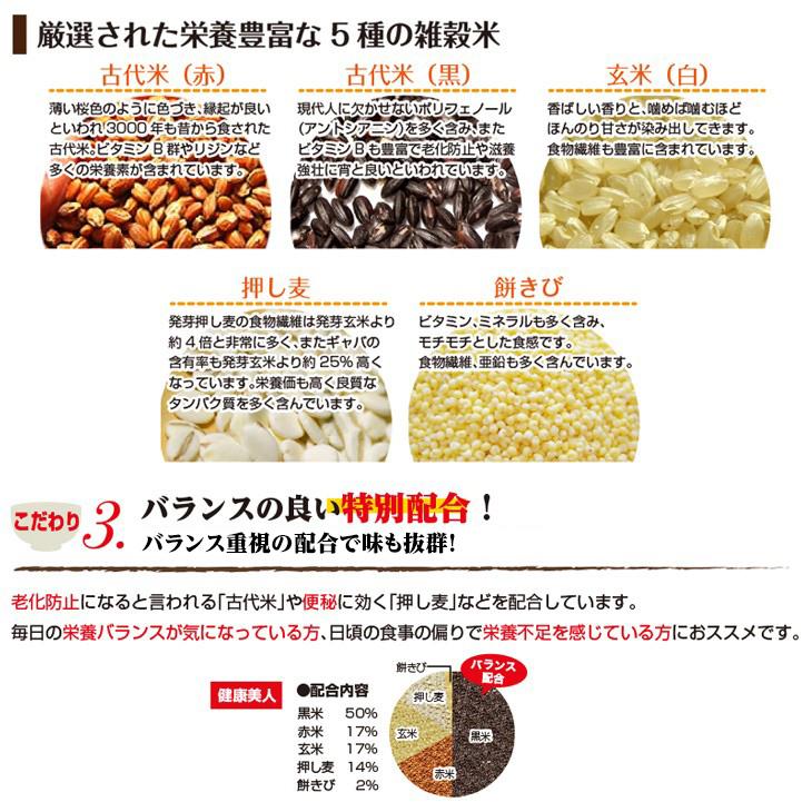 雑穀米 送料無料 九州 熊本県産100% 五穀米420g×1袋 雑穀 お米 お取り寄せ 米 エコ包装 地産地消 ポイント消化 1000円 雑穀米 五穀米 健康 熊本 ご飯 お米