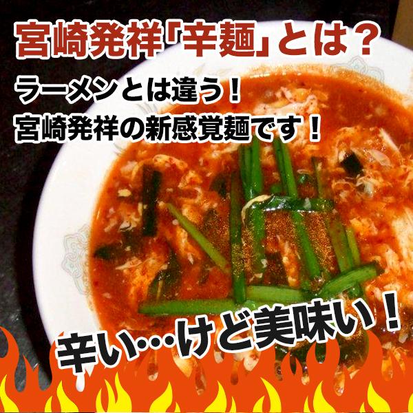 宮崎新名物 辛麺屋 輪 辛麺 9人前