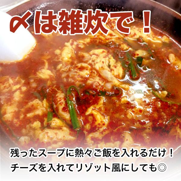 宮崎新名物「辛麺屋 輪」辛麺4人前 簡易パッケージ