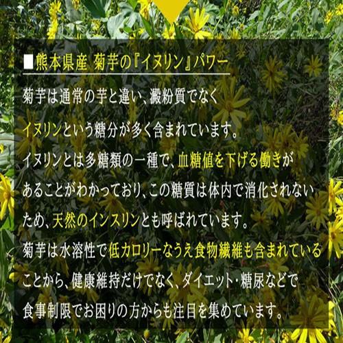 菊芋 パウダー 熊本県産菊芋使用 ふるさと 菊芋 きくいも パウダー 40g×3袋 送料無料 イヌリンパワー キクイモ 健康 国産 熊本 野菜