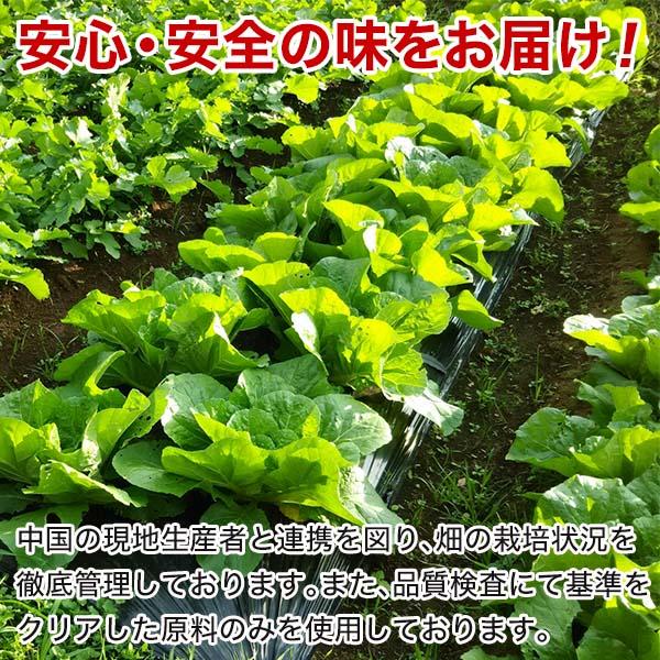 激辛 辛子高菜たっぷり500g 油炒め 業務用 – 九州からの贈り物 本店