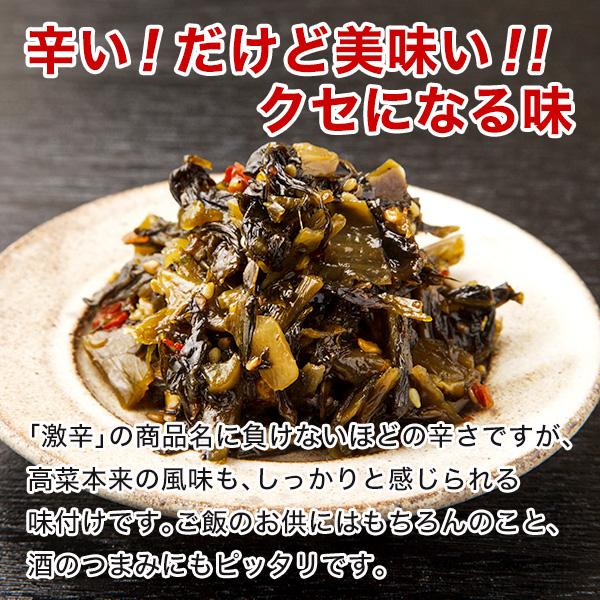 激辛 辛子高菜たっぷり500g 油炒め 業務用