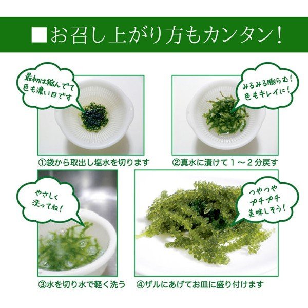 産地直送 沖縄県産 海ぶどう(茎付き) 50g×2袋 塩水漬け